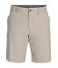 Ferrosi Shorts - 10